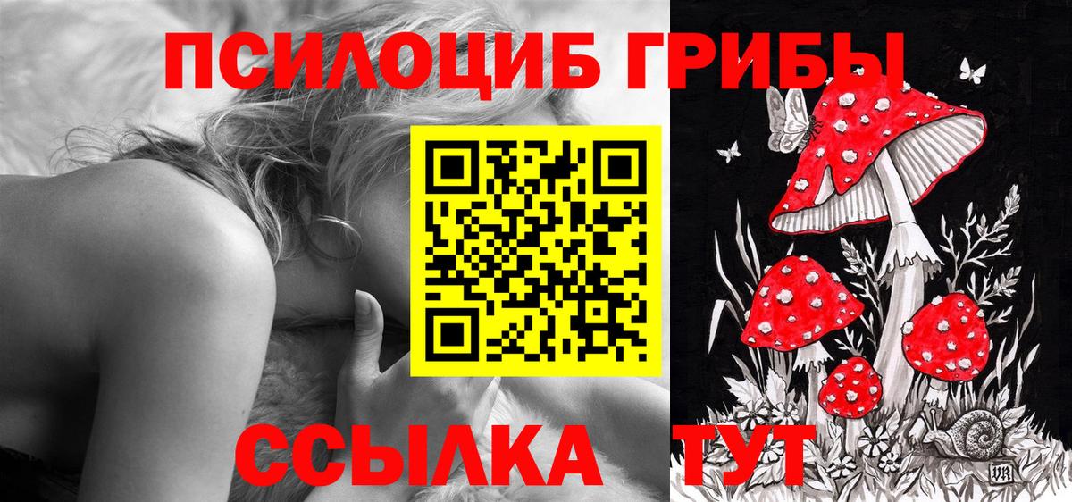 Псилоцибиновые грибы мухоморы Фрязино